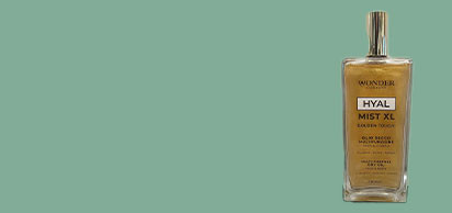 banner sx